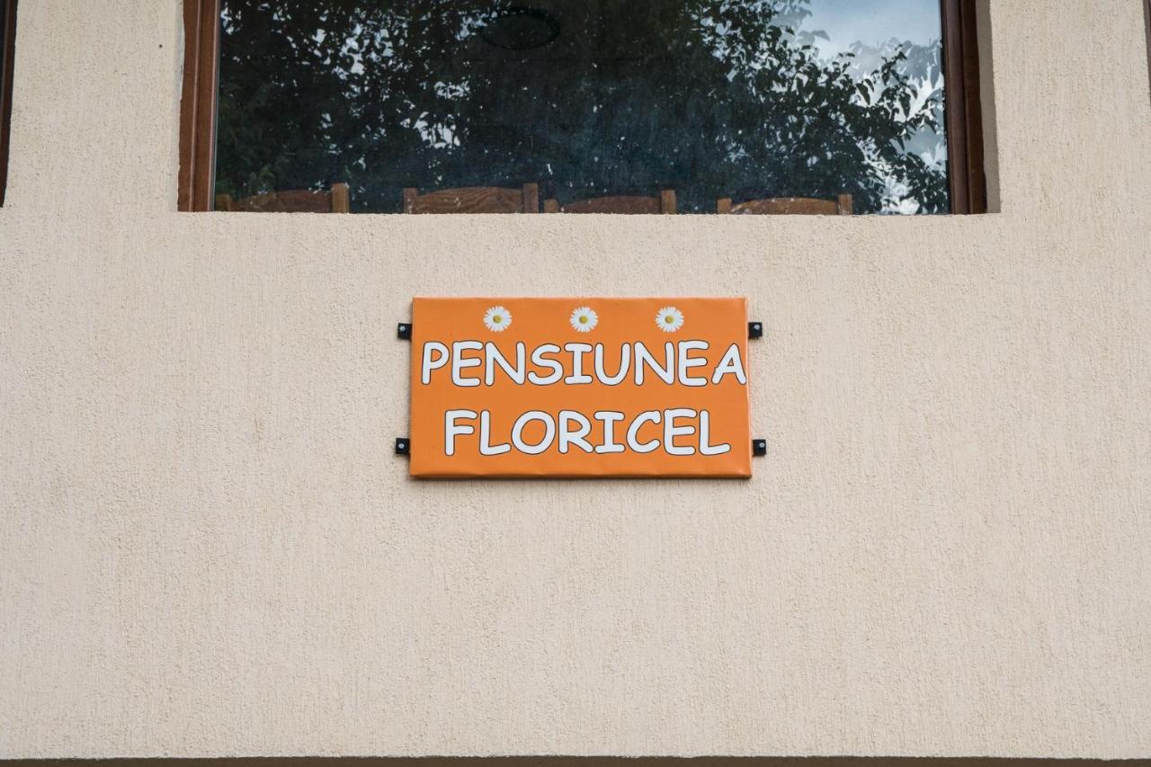 Pensiunea Floricel Stoeneşti Buitenkant foto